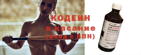 гашик Кизел