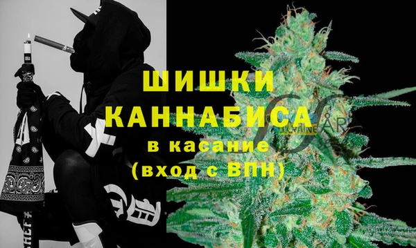 гашик Кизел