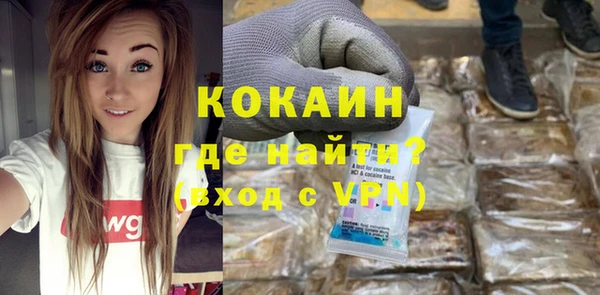 spice Кедровый