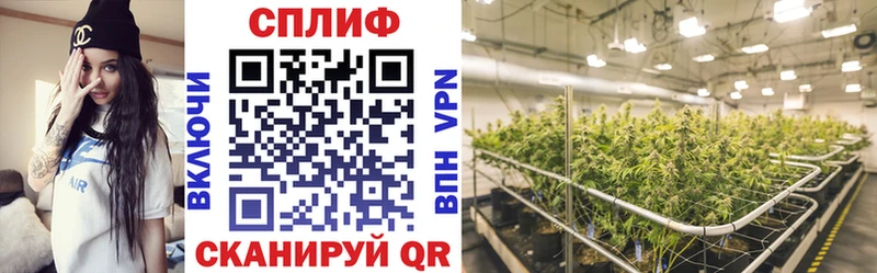 Канабис SATIVA & INDICA  Буй 
